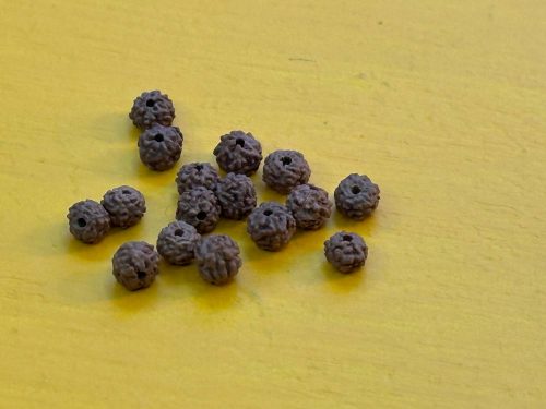 Rudhraska bead 3/4mm